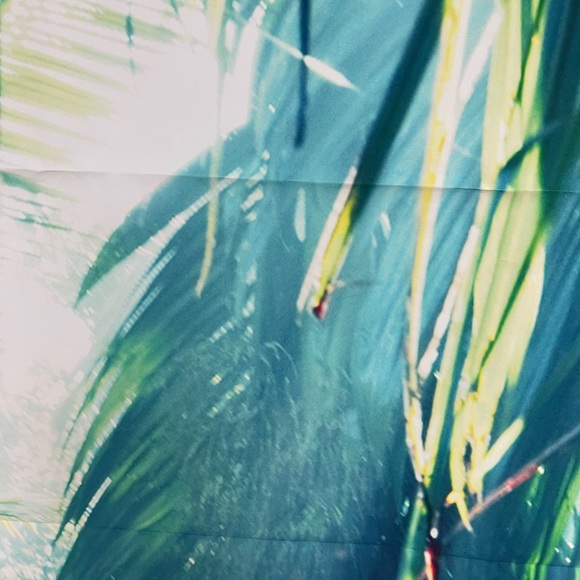 Vivid Moment Photo Backdrop - Picture 11 of 12